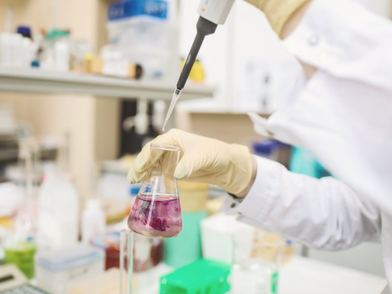 Samples being prepared on the laboratory bench